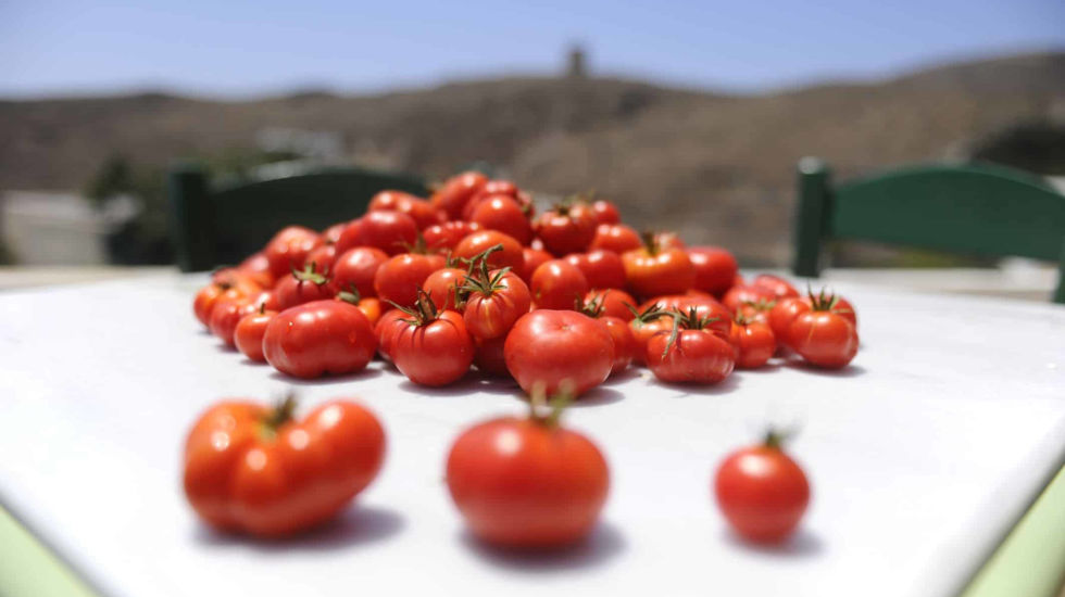 Andronis Luxury Suites - Taste Santorinian Cherry Tomatoes