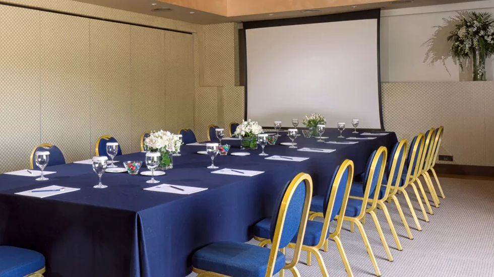 Grand Resort Lagonissi - Hector Conference Room 