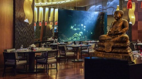  Grand Resort Lagonissi - Dining  - Kohylia Restaurant 