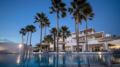 Mykonos Blanc Hotel - Pool and palm trees 