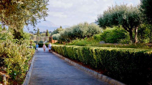  Village Heights Resort Garden path 
