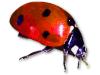 Captcha image 2770