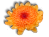 Captcha image 6163