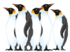 Captcha image 9796